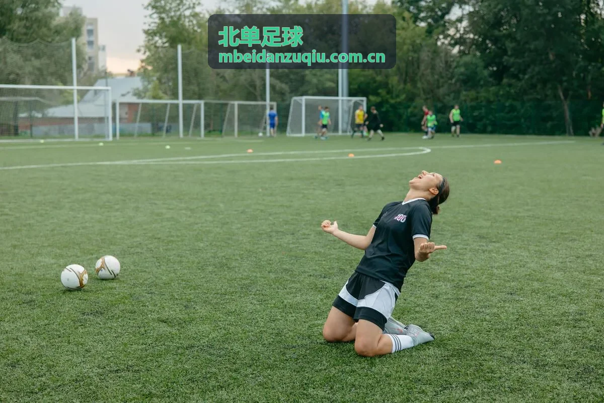 北单足球赛事指数基础数据项说明